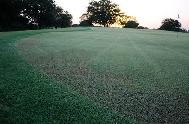 Kensville Golf & Country Club